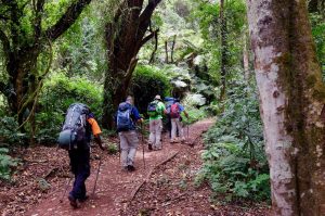 Kilimanjaro Climb Gear List